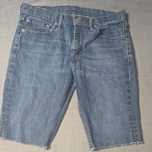 Blue Denim Cutoff Shorts
